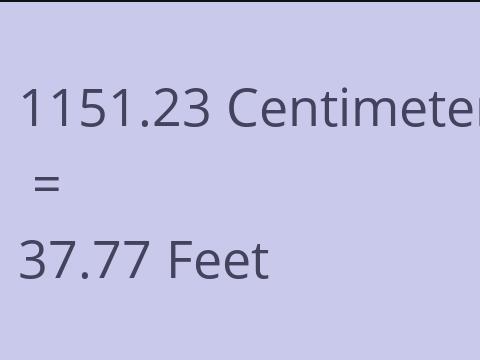 1151.23 CM TO FEET