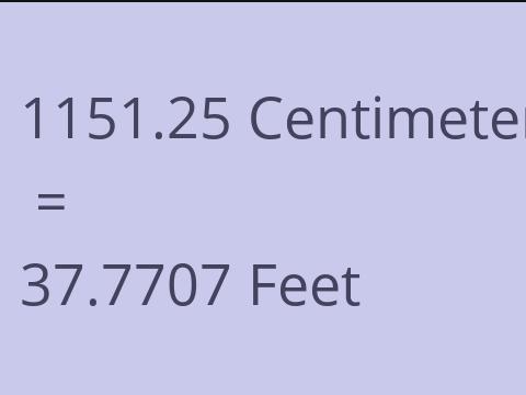 1151.25 CM TO FEET