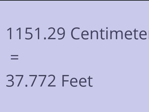 1151.29 CM TO FEET