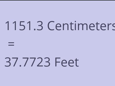 1151.3 CM TO FEET