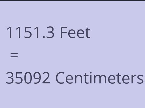 1151.3 FEET TO CM