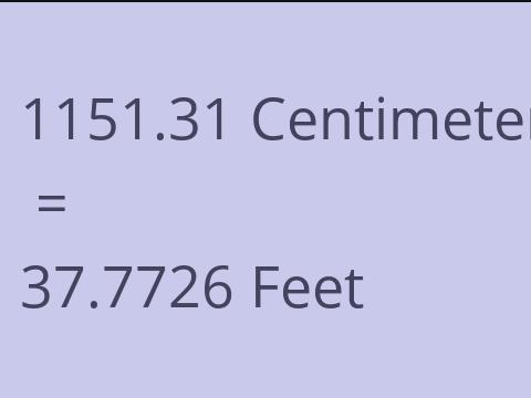 1151.31 CM TO FEET