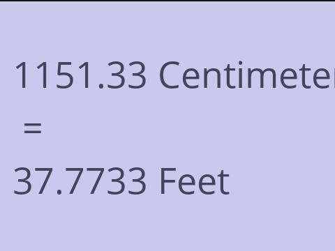 1151.33 CM TO FEET