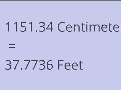 1151.34 CM TO FEET