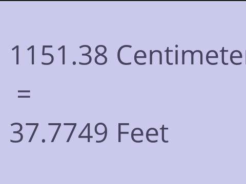 1151.38 CM TO FEET