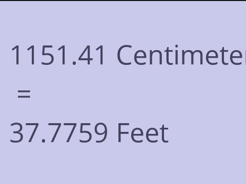 1151.41 CM TO FEET