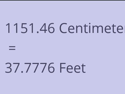 1151.46 CM TO FEET