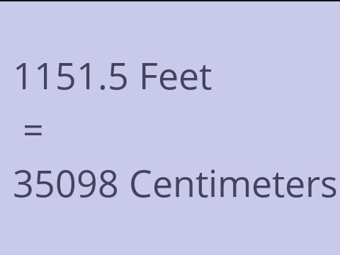 1151.5 FEET TO CM