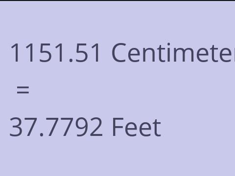 1151.51 CM TO FEET