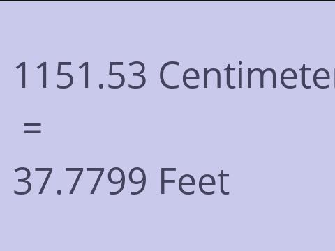 1151.53 CM TO FEET