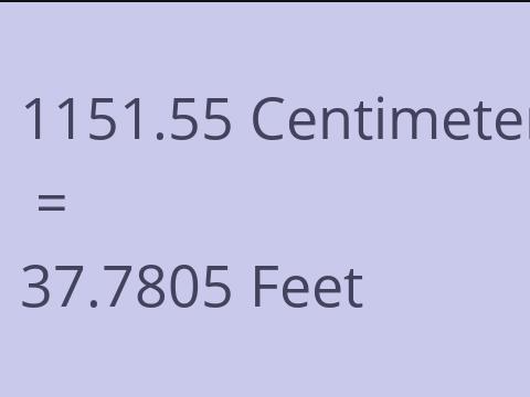 1151.55 CM TO FEET