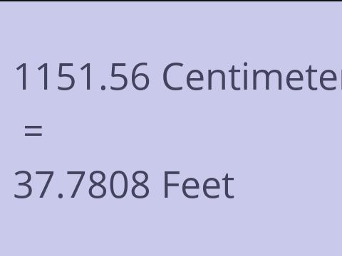 1151.56 CM TO FEET