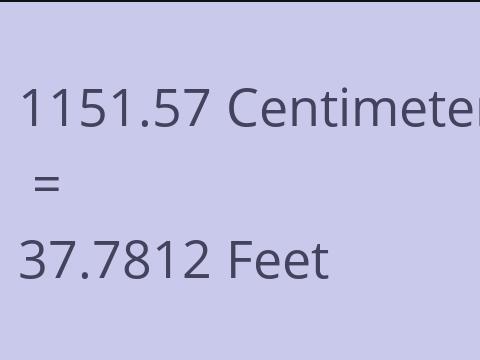 1151.57 CM TO FEET