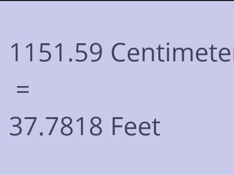 1151.59 CM TO FEET