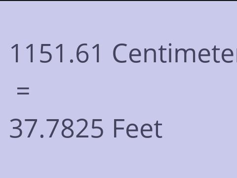 1151.61 CM TO FEET