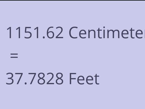 1151.62 CM TO FEET