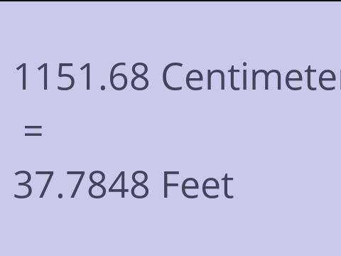 1151.68 CM TO FEET