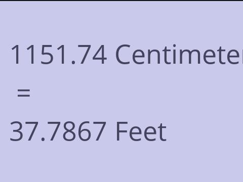 1151.74 CM TO FEET