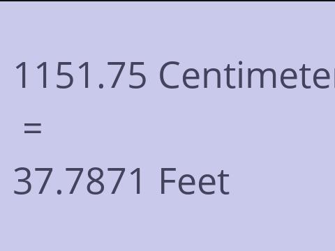 1151.75 CM TO FEET