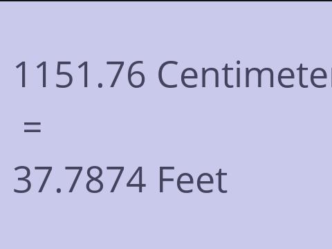 1151.76 CM TO FEET