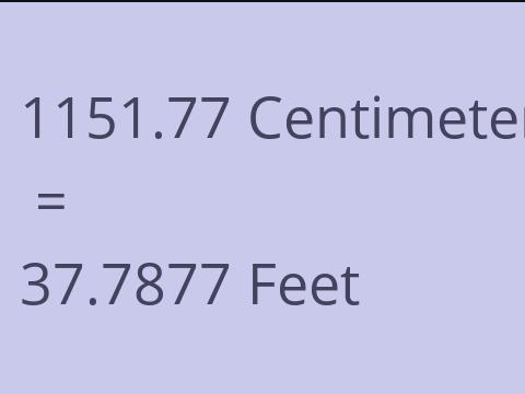 1151.77 CM TO FEET