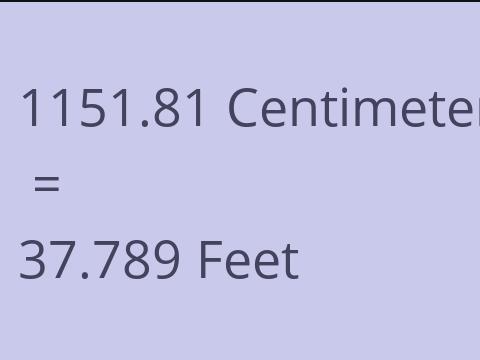 1151.81 CM TO FEET