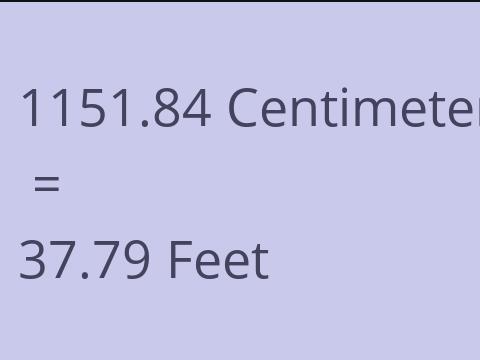 1151.84 CM TO FEET