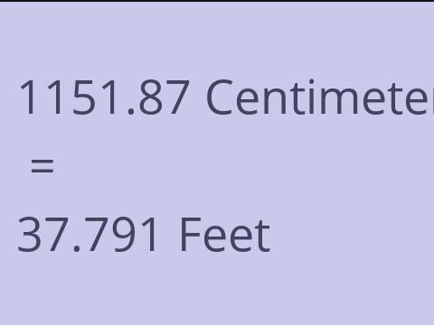 1151.87 CM TO FEET