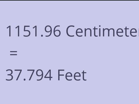 1151.96 CM TO FEET