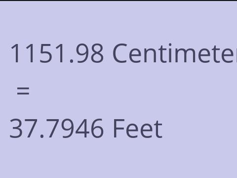 1151.98 CM TO FEET