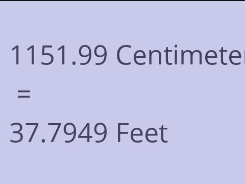 1151.99 CM TO FEET