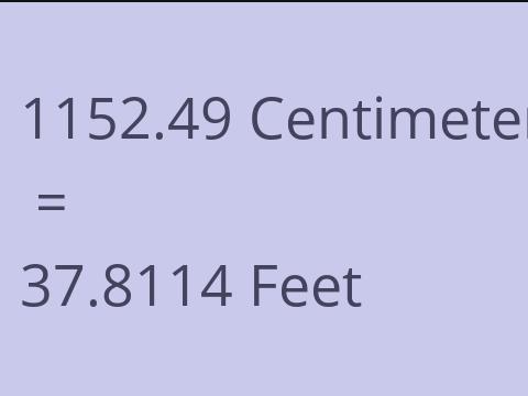 1152.49 CM TO FEET