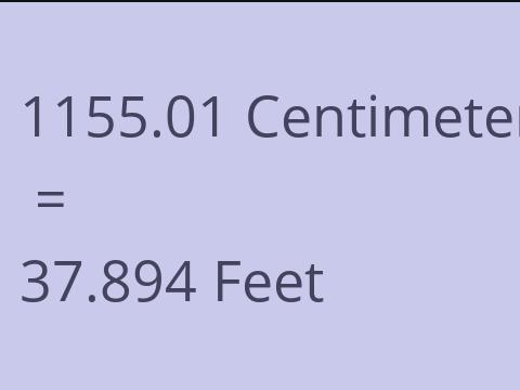 1155.01 CM TO FEET