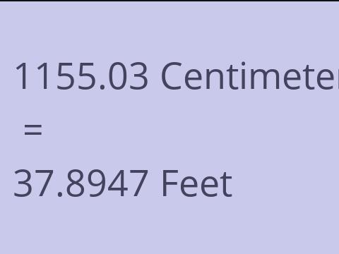 1155.03 CM TO FEET