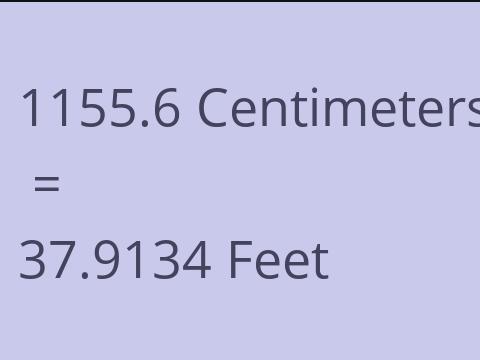 1155.6 CM TO FEET