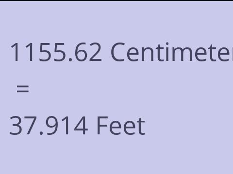 1155.62 CM TO FEET