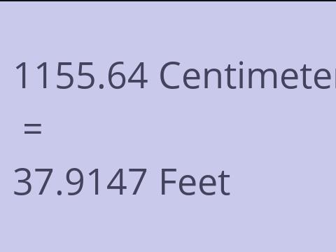 1155.64 CM TO FEET