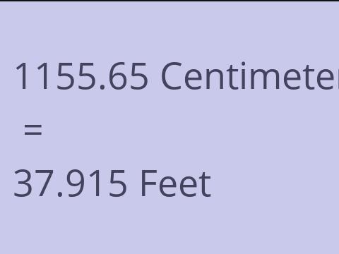 1155.65 CM TO FEET