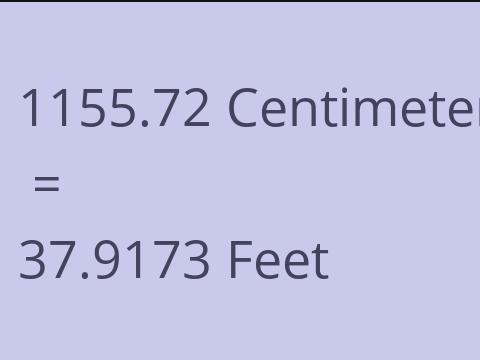 1155.72 CM TO FEET