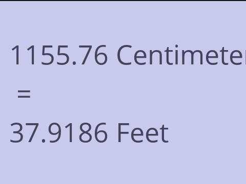 1155.76 CM TO FEET