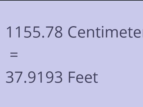 1155.78 CM TO FEET