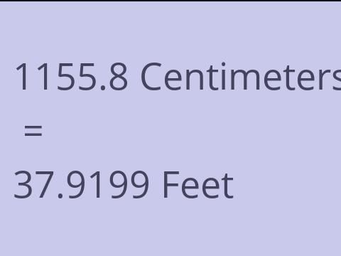 1155.8 CM TO FEET