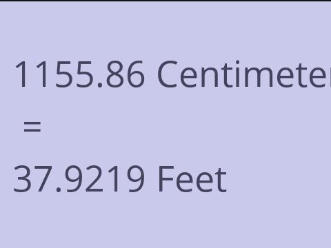 1155.86 CM TO FEET