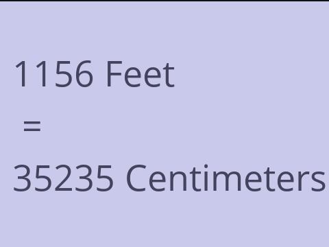 1156 FEET TO CM