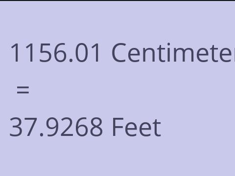 1156.01 CM TO FEET