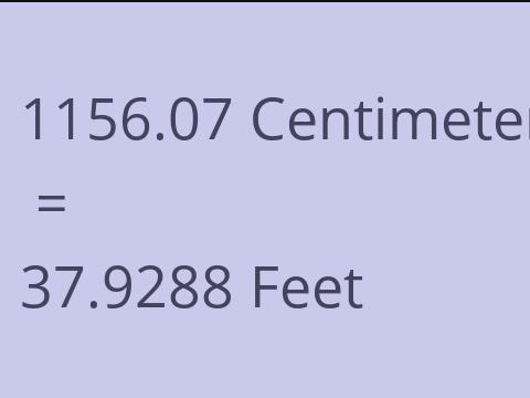 1156.07 CM TO FEET