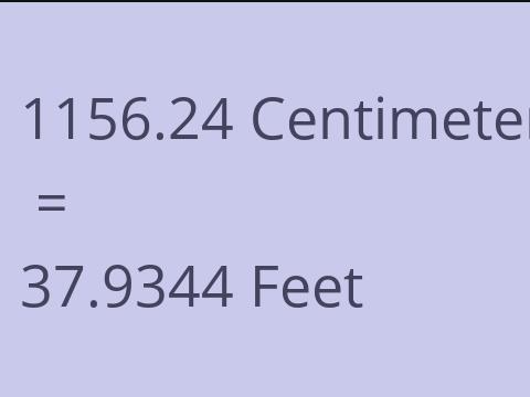 1156.24 CM TO FEET