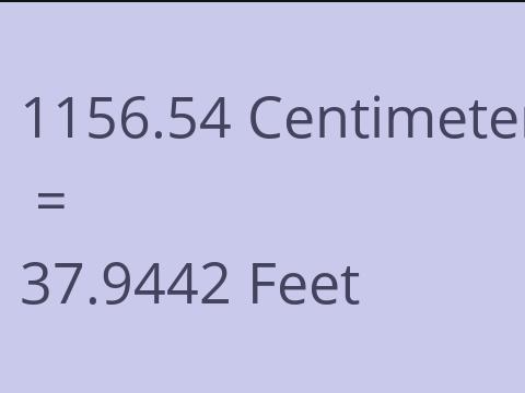 1156.54 CM TO FEET