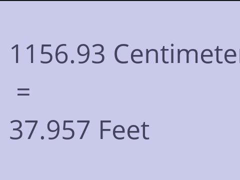 1156.93 CM TO FEET