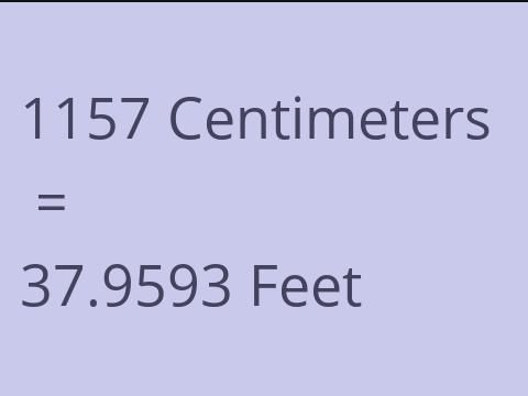 1157 CM TO FEET